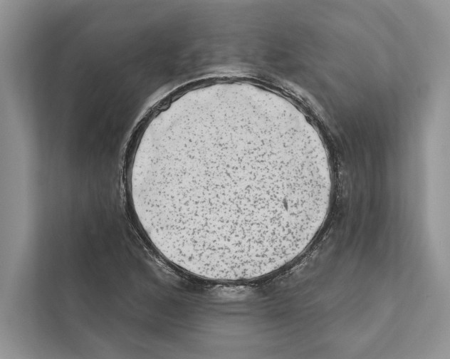 X0000110861168200907091334