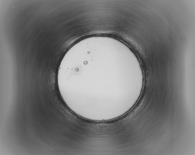 X0000110861169200907091334