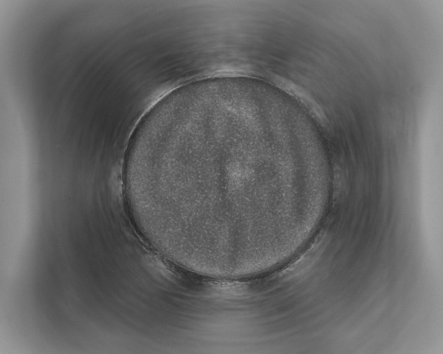 X0000110861170200907091334