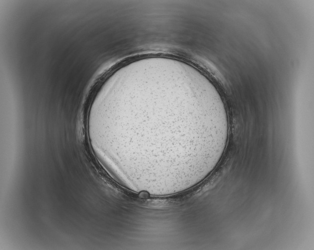 X0000110861172200907091334