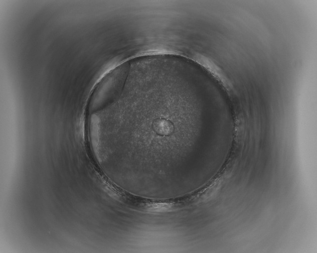 X0000110861173200907091334