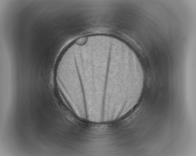 X0000110861174200907091334