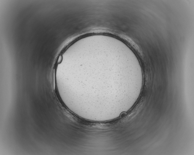 X0000110861175200907091334