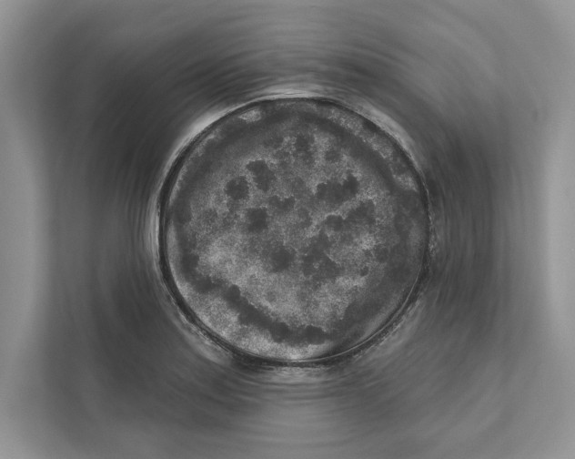 X0000110861179200907091334