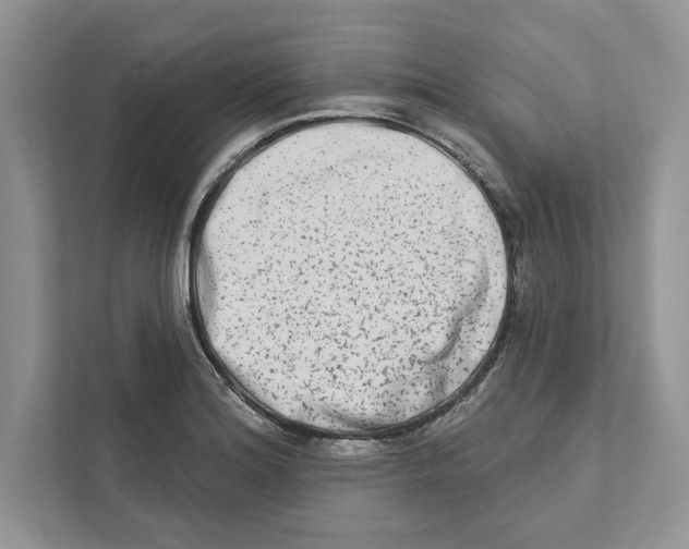 X0000110861180200907091334