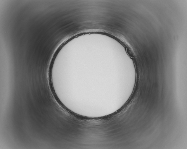 X0000110861181200907091334