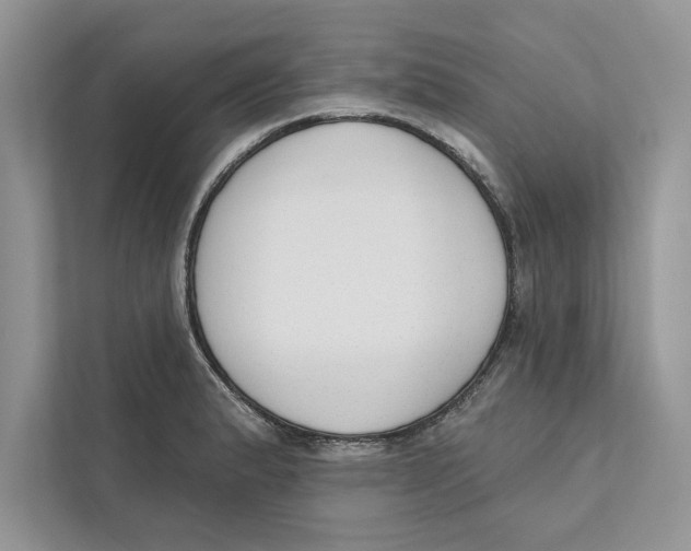 X0000110861183200907091334