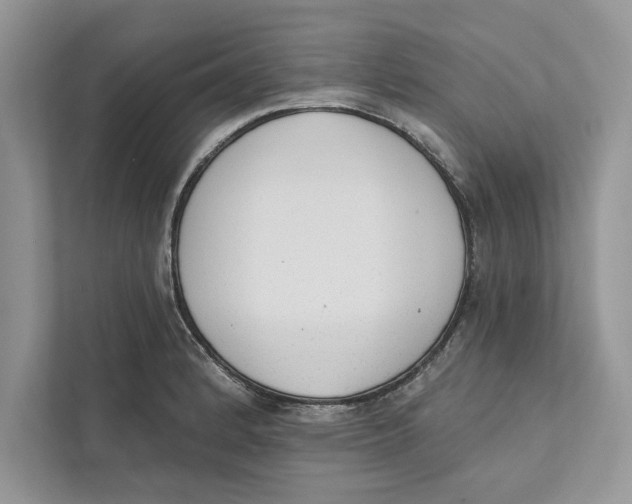 X0000110861184200907091334