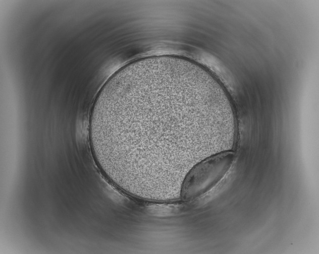 X0000110861185200907091334