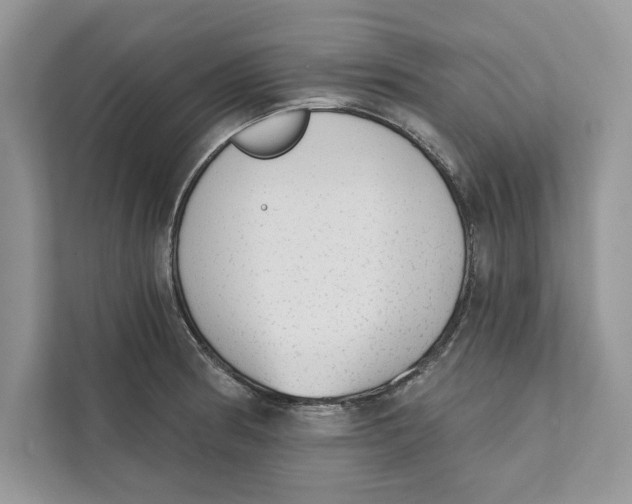 X0000110861186200907091334