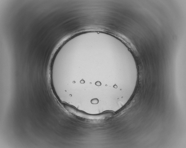 X0000110861188200907091334