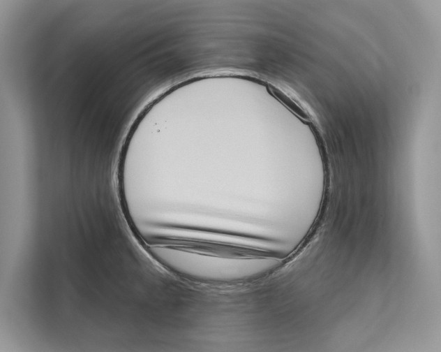 X0000110861189200907091334