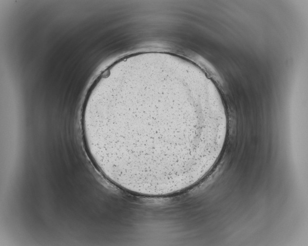 X0000110861192200907091334