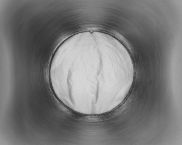 X0000110861194200907091334