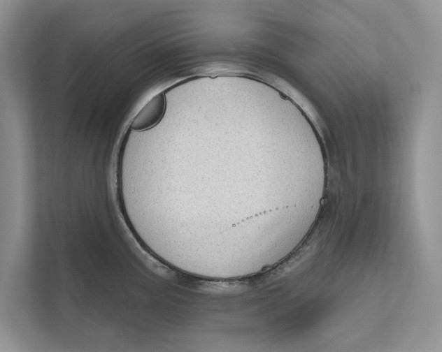 X0000110861195200907091334