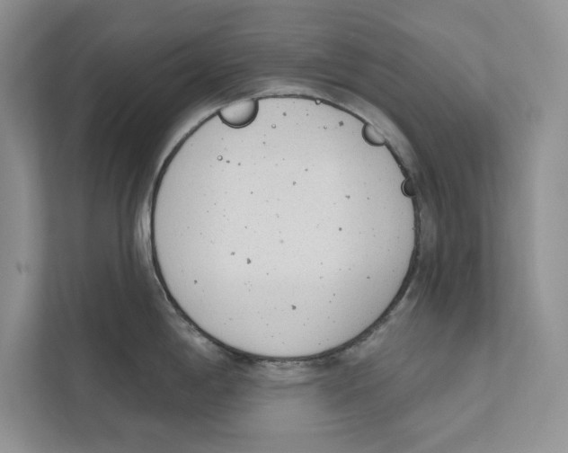 X0000110861198200907091334