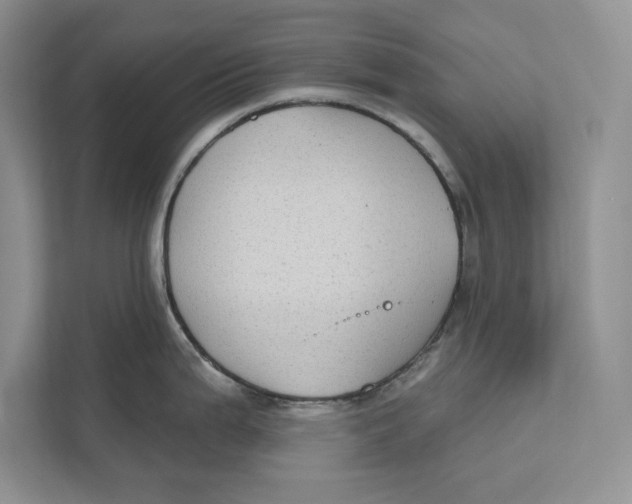 X0000110861199200907091334