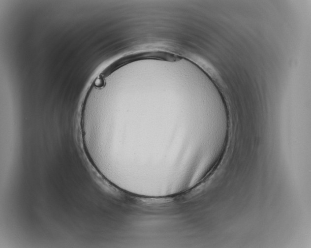 X0000110861200200907091334