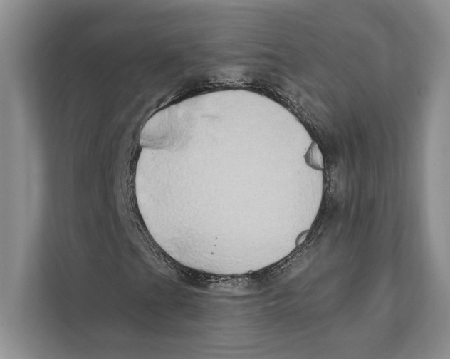 X0000110861201200907091333