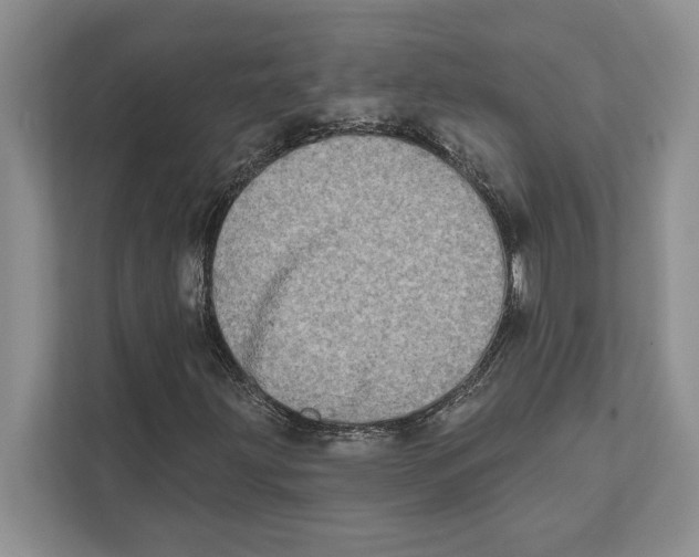 X0000110861203200907091333