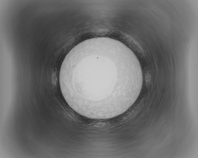 X0000110861204200907091333