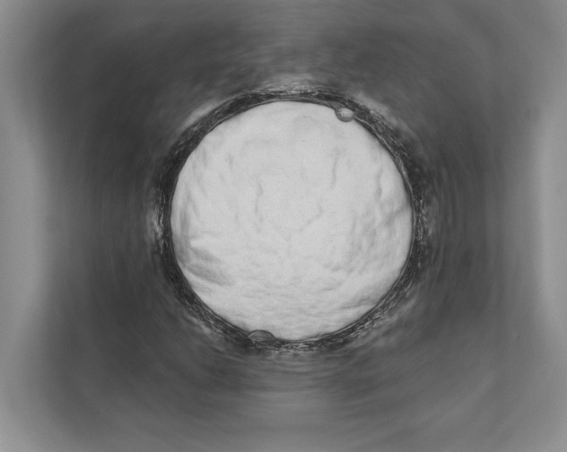 X0000110861206200907091333