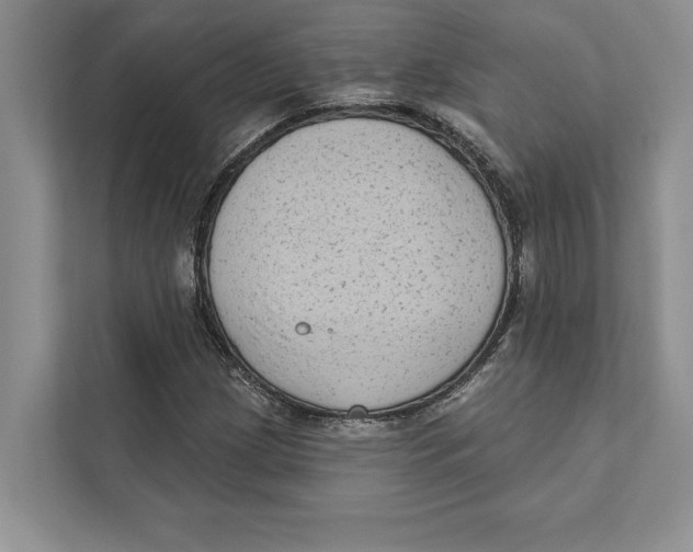 X0000110861209200907091333