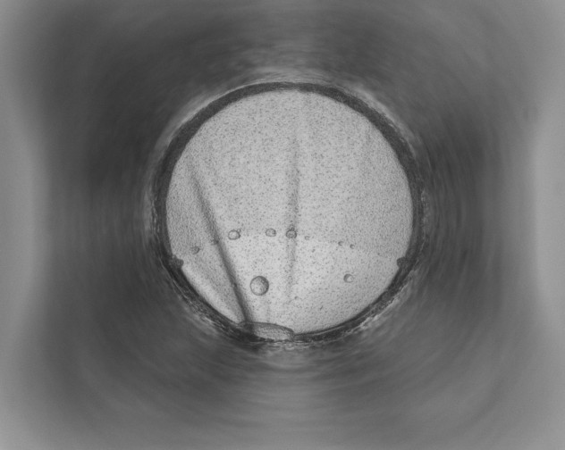 X0000110861215200907091333