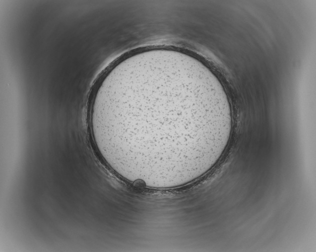 X0000110861216200907091333