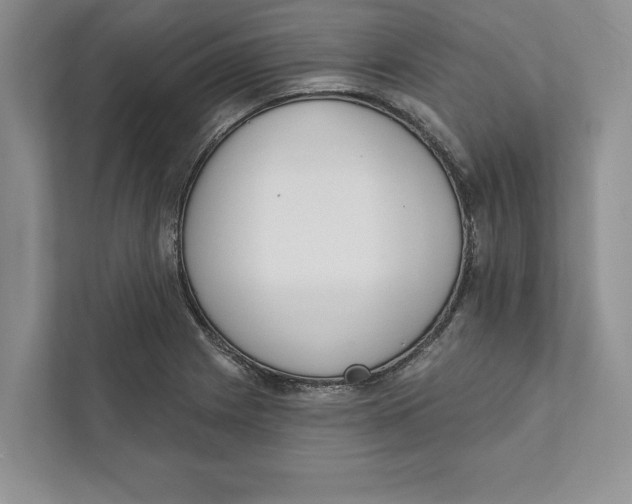 X0000110861225200907091334