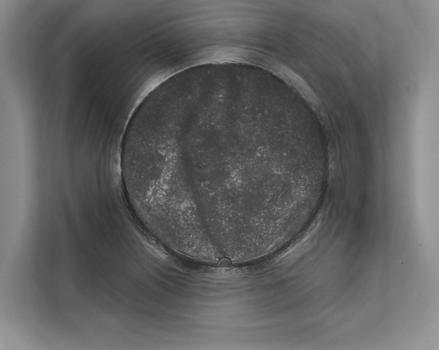 X0000110861226200907091334