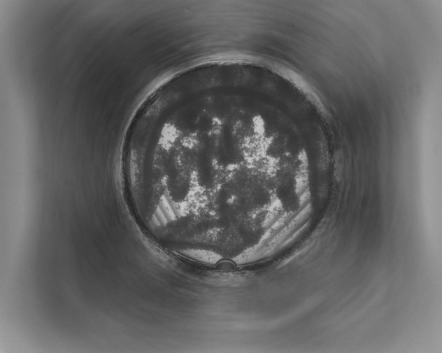 X0000110861229200907091334