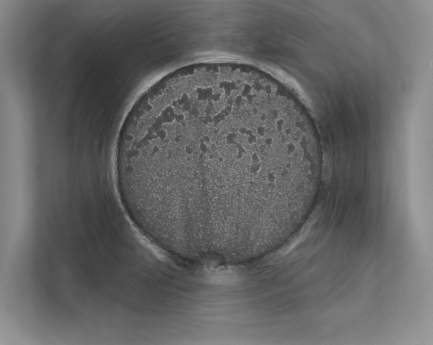 X0000110861231200907091334