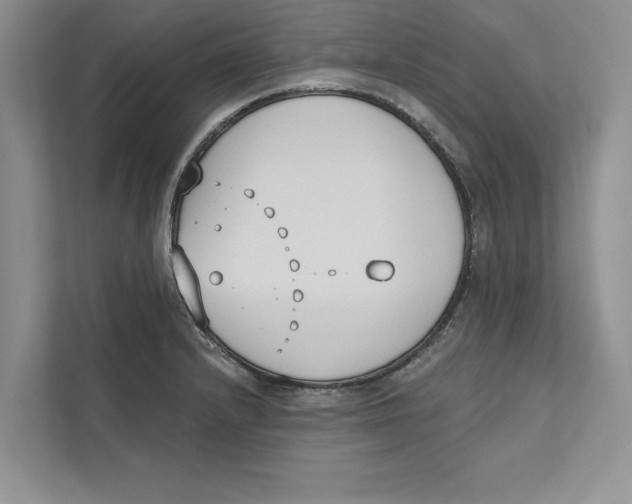 X0000110861232200907091334