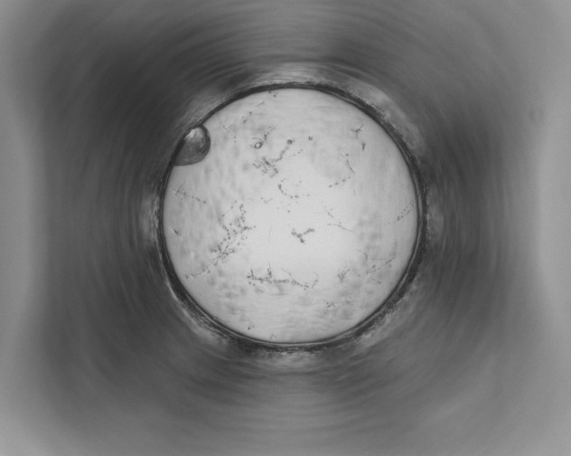 X0000110861233200907091334