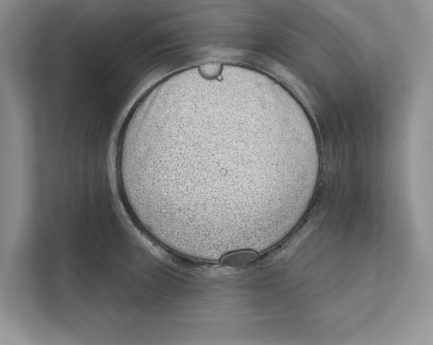 X0000110861235200907091334