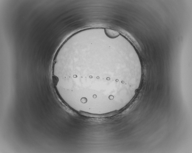 X0000110861236200907091334