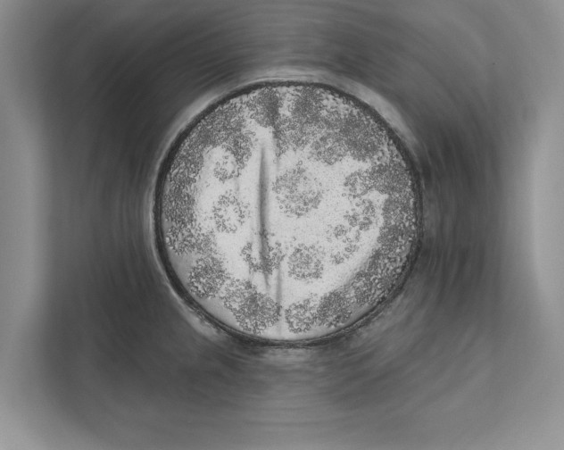 X0000110861237200907091334