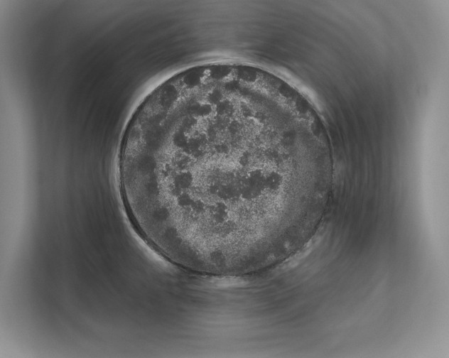 X0000110861239200907091334