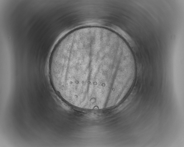 X0000110861240200907091334