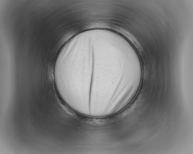 X0000110861241200907091334