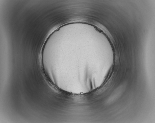 X0000110861242200907091334