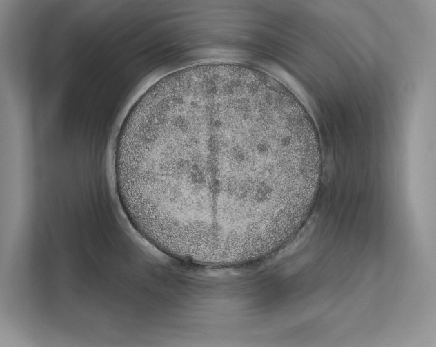 X0000110861243200907091334