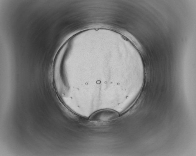 X0000110861244200907091334