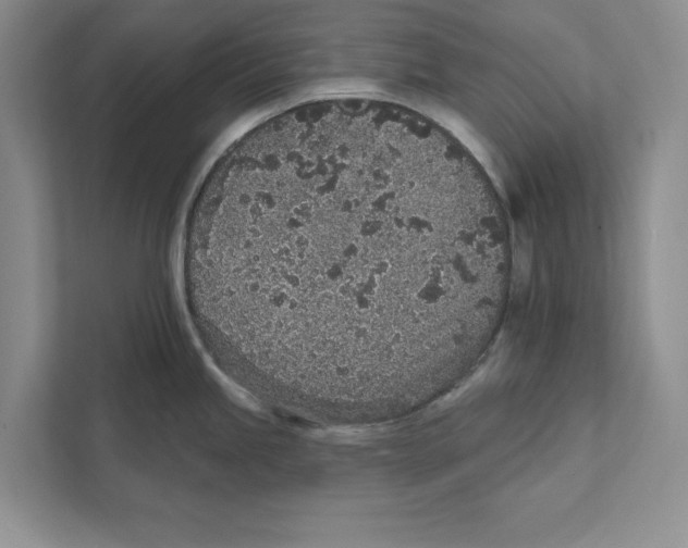 X0000110861245200907091334