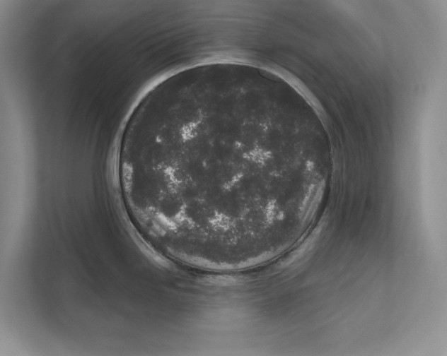 X0000110861246200907091334