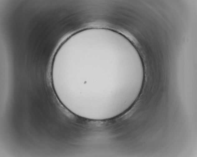 X0000110861248200907091334