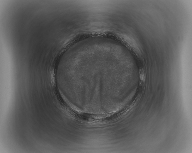 X0000110861252200907091333