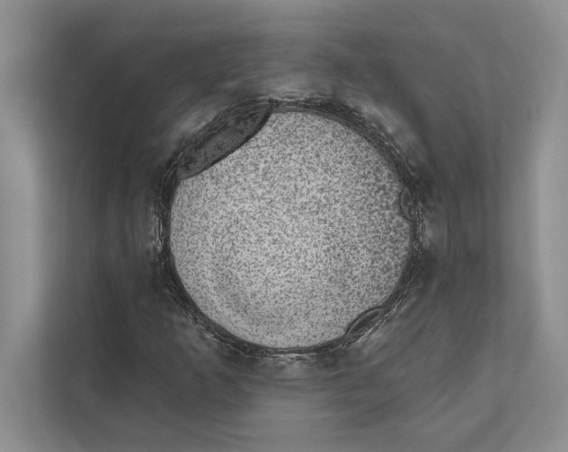 X0000110861253200907091333