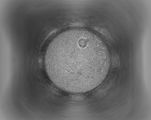 X0000110861254200907091333